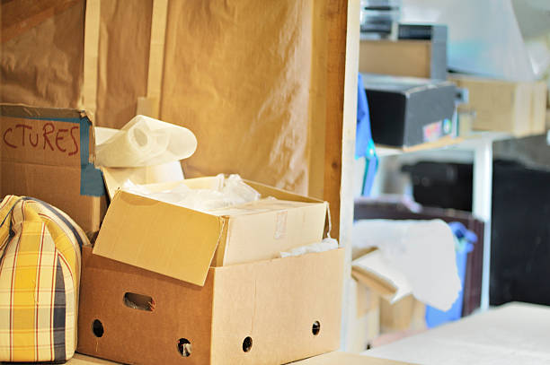 Best Professional Junk Removal  in Madison, WV